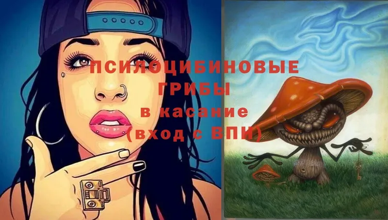 Галлюциногенные грибы Psilocybine cubensis  Тетюши 